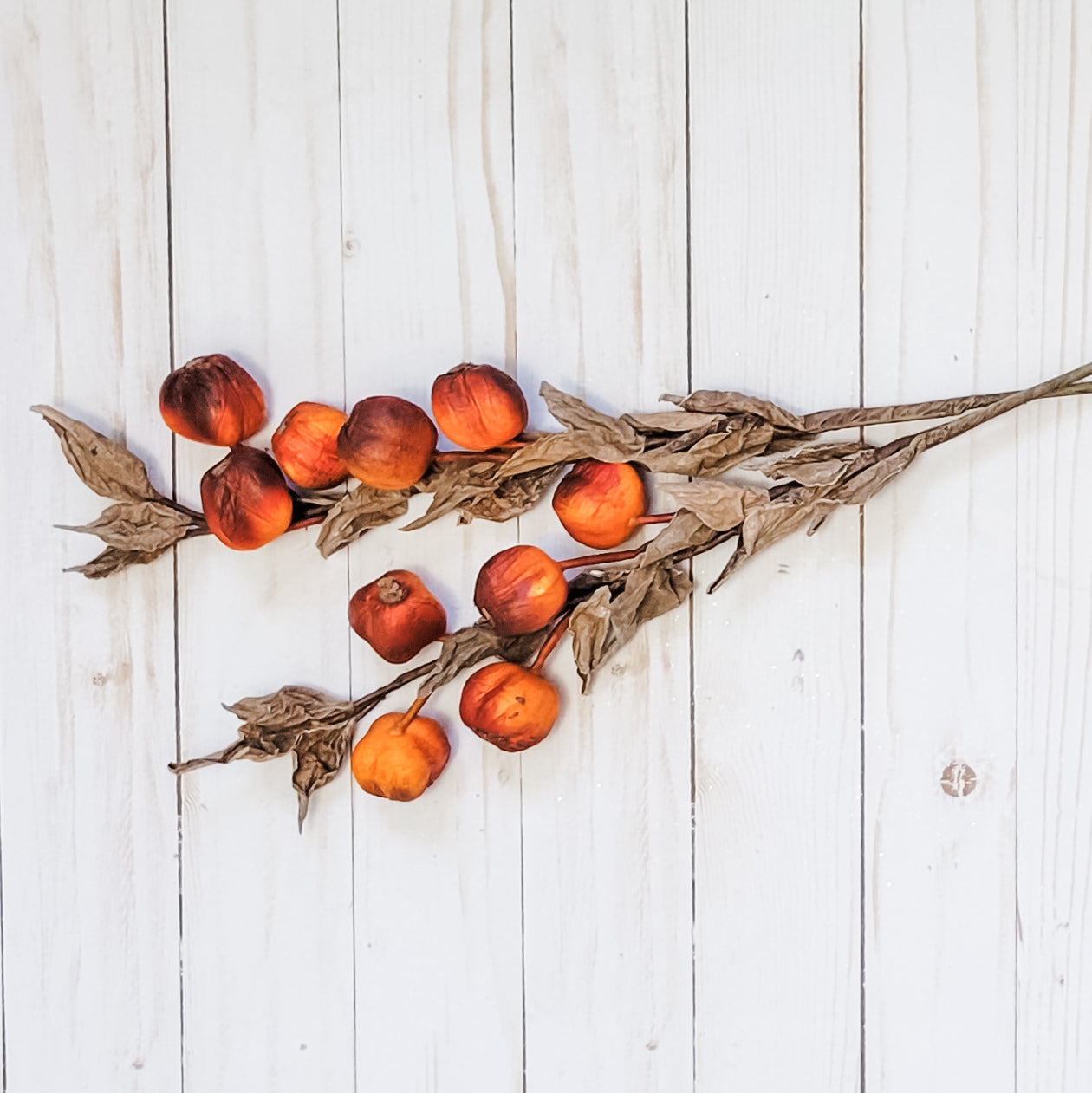 Dried Rose Hips (set of 2)