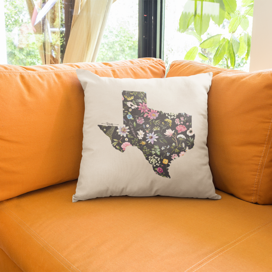 Texas Pillow Cover