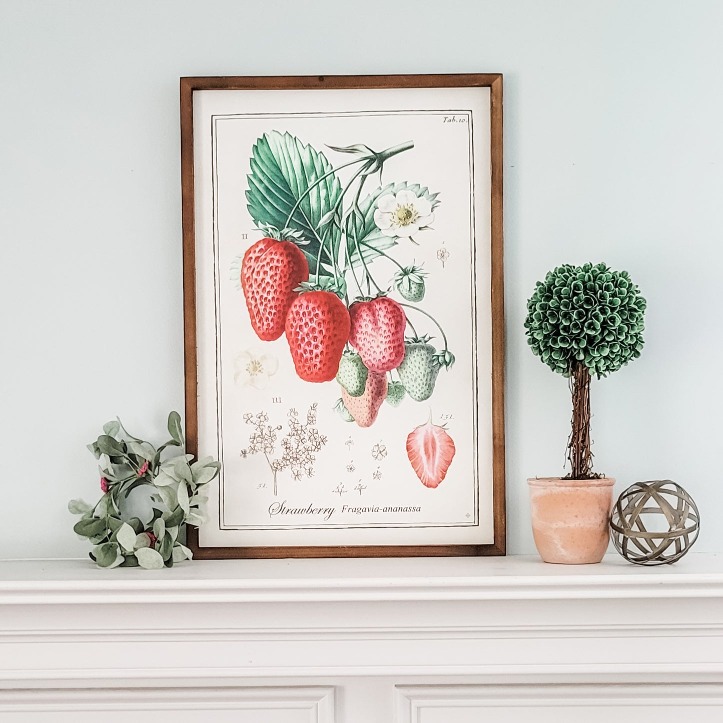 Large Framed Vintage Fruit Prints