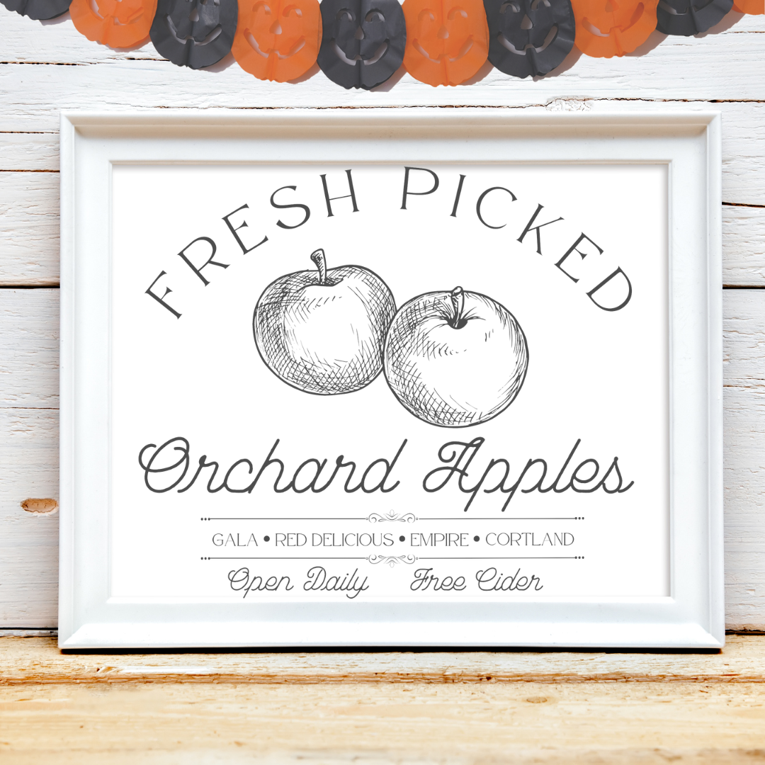 Fresh Picked Orchard Apples Digital Download