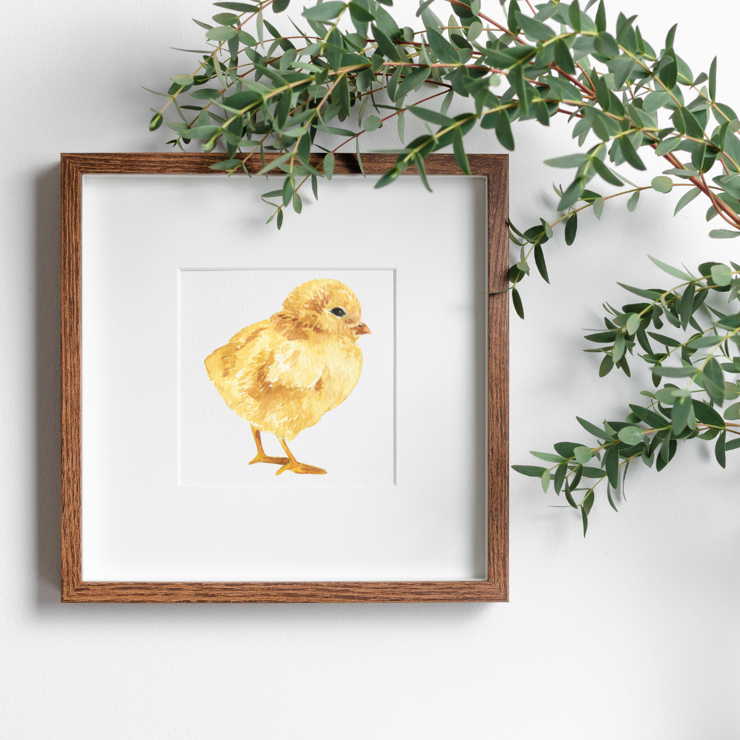 Watercolor Chick Digital Download